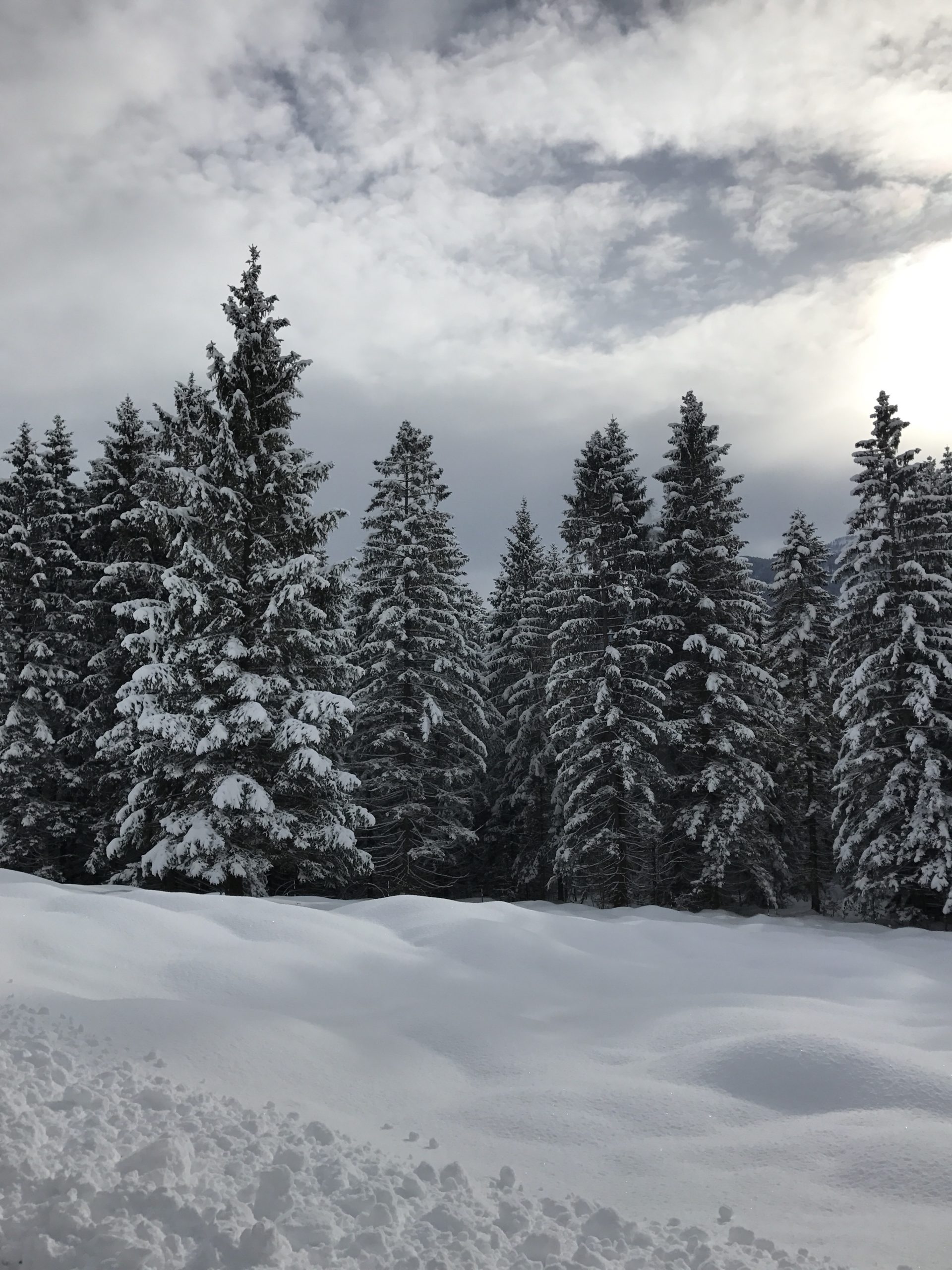 Schneewandern bei Garmisch
